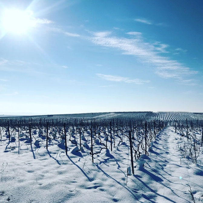 La neige est là